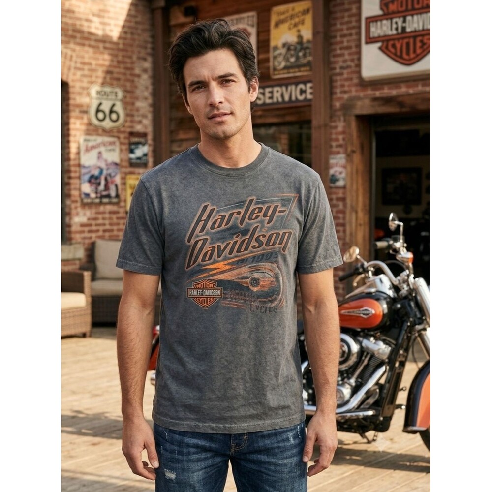 Harley Davidson Adamec St Augustine FL Grey Graphic Tee Size Small